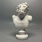 Statue Grecque<br>Le Buste Laocoön